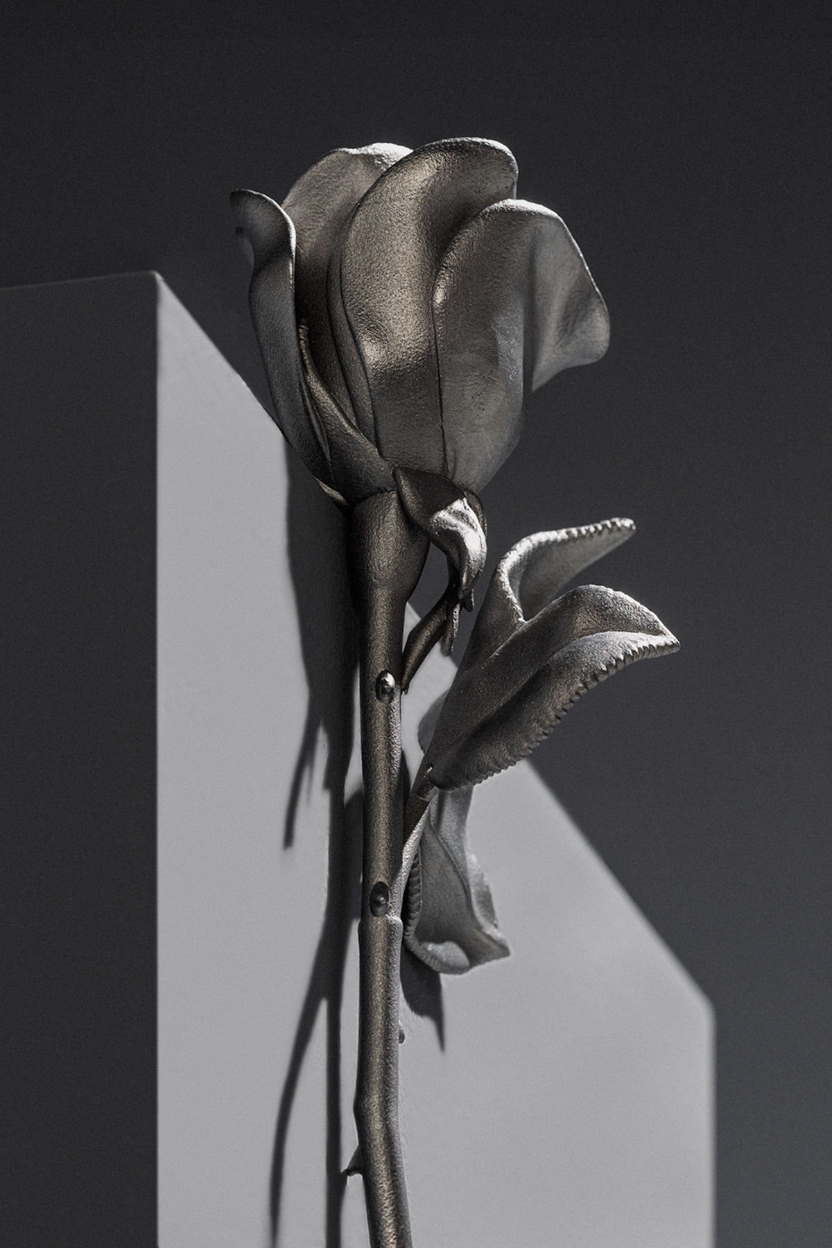 A sculptural dark metal rose with detailed petals and thorned stem leaning against the corner edge of a white plinth, casting a sharp shadow against a dark background.
